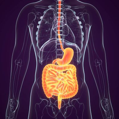 Barrett\'s Biobanking and registry